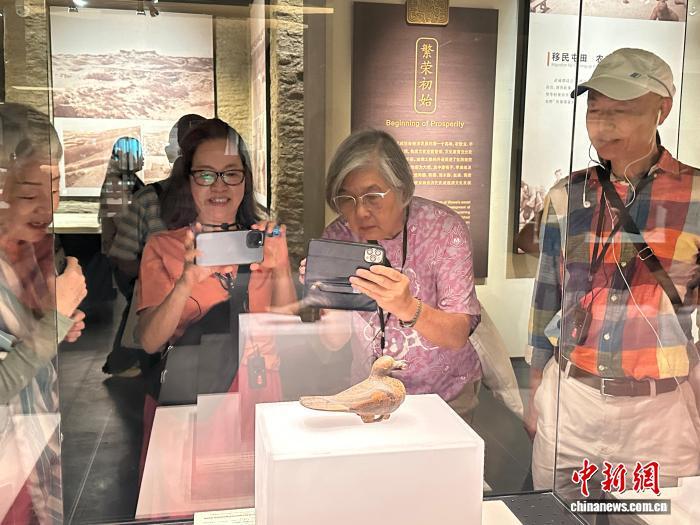 图为游客在武威市博物馆参观彩绘漆木鸠　资料图　戴文昌 摄
